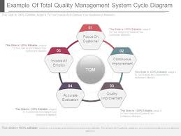 exle of total quality management
