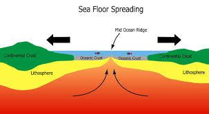 continental drift seafloor spreading