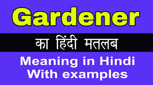 gardener meaning in hindi gardener क