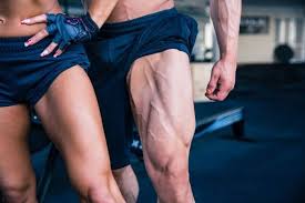 The plantaris is a thin muscle that begins at the lower end of the femur (the large bone of the upper leg), stretches across the knee joint and attaches to the back of the heel along with the achilles tendon. Leg Anatomy All About The Leg Muscles