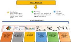 whey proteins processing and emergent