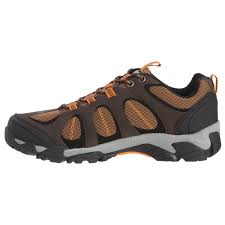 Pacific Trail Logan Hiking Shoes For Men