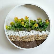 round glass vases wall succulent holder