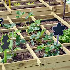 square foot gardening the