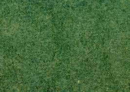 89 000 green carpet texture pictures