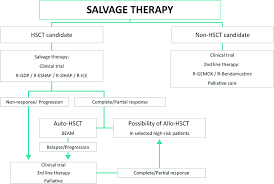 salvage therapy beam carmustine
