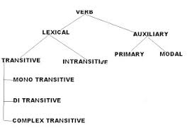 Classification Of Verb Essential Grammar