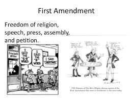 First amendment cartoons and comics. 3 4 The Amendments
