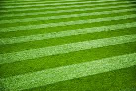 Are lawn mowing services worth it? The Benefits Of Hiring A Commercial Lawn Mowing Service