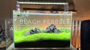 iwagumi beach pebbles ada cube garden