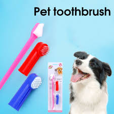 To brush your cat's teeth effectively, follow the outlined steps below: Double Head Pets Toothbrush Soft Pet Dog Finger Brush Sets Dogs Cats Teeth Care Cleaning Brush Pets Grooming Clean Tools Buy At The Price Of 1 47 In Aliexpress Com Imall Com