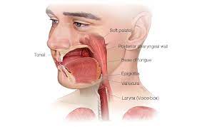 Head and Neck Cancer Australia gambar png