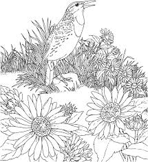 If not, you should try it. Free Printable Sunflower Coloring Pages For Kids