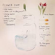 Flower Food Diy Flower Food