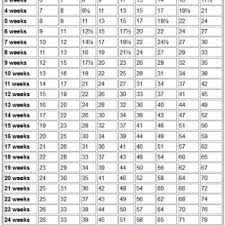 Chihuahua Weight Chart Archives Pet It Dog Apparel