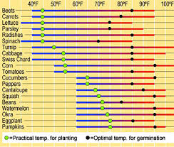 Vegetable Garden Planting Schedule For