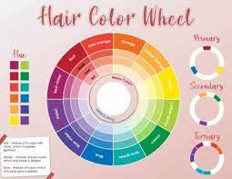 hair color wheel hair dye secret weapon