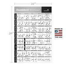 Newme Fitness Dumbbell Workout Exercise Poster Now Laminated Strength Training Chart Build Muscle Tone Tighten Home Gym Weight Lifting