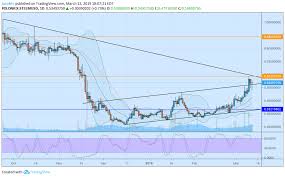 Steem Sbd Charts The Bull Within The Bear Partiko