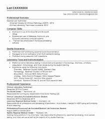 Check out our medical equipment technician resume example to learn the best resume writing style. Lab Technician Cv Word Format March 2021