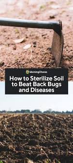 How To Sterilize Soil To Beat Back Bugs