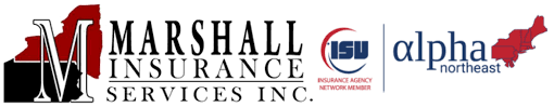 Marshall Insurance Services gambar png