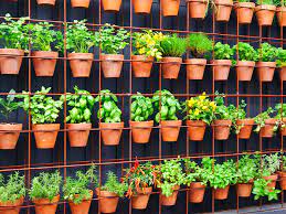 Guide To Vertical Gardening Wilco