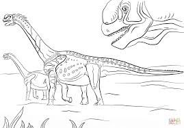 Disegno Di Camarasaurus Da Colorare Disegni Da Colorare E Stampare