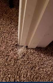carpet repair gold coast 07 4516 1309