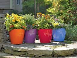 Self Watering Planter Self Watering Pots