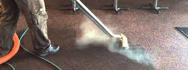 carpet steam cleaner service