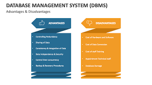 database management system dbms