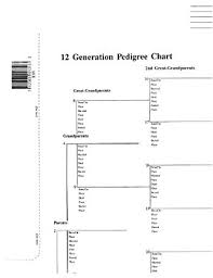 12 Generation Pedigree Chart 10 Pack