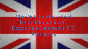 global health scholarships for