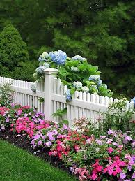 Colorful Picket Fence Flowers Garden