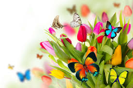 100 spring flowers desktop wallpapers