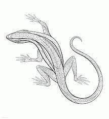 The lizard coloring sheets showcase the reptiles in different positions and in their natural habitat. Lizard Coloring Pages For Adults Coloring Pages Printable Com