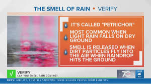 verify yes you can smell rain coming