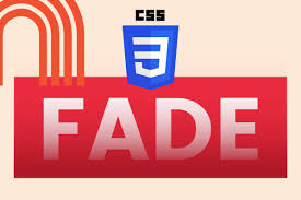 css fade in transition animation