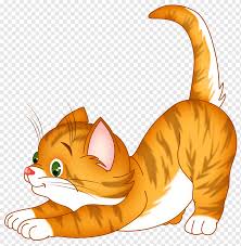 cats clipart png images pngwing