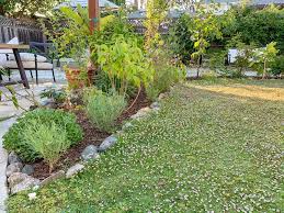 How To Convert Lawn To Flower Bed