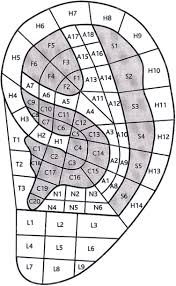 The Similarities Between The World Federation Of Acupuncture