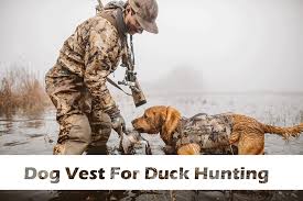 Dog Vest For Duck Hunting The Ultimate Guide To Dog Vests 2018