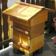 Beehives Can You Get In New Zealand