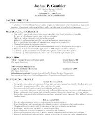 Resume Objective For Accounting Paknts Com