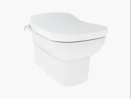 Kohler Replay Wall Hung Toilet With