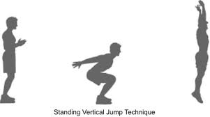 training for a vertical jump