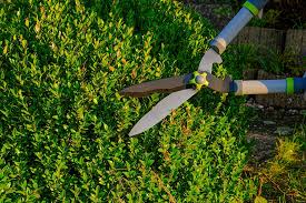 How To Sharpen Your Garden Tools At