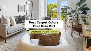 carpet colors that hide dirt 5 best