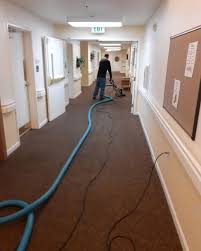 carpet cleaning repair services